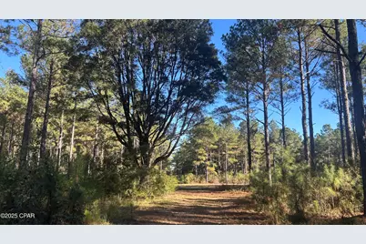 Xxx Co 147 Highway, Laurel Hill, FL 32567 - Photo 21