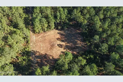 Xxx Co 147 Highway, Laurel Hill, FL 32567 - Photo 25