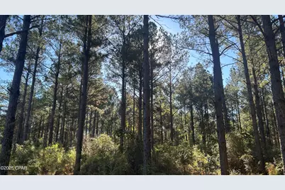 Xxx Co 147 Highway, Laurel Hill, FL 32567 - Photo 7