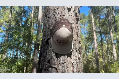 Xxx Co 147 Highway, Laurel Hill, FL 32567 - Photo 35