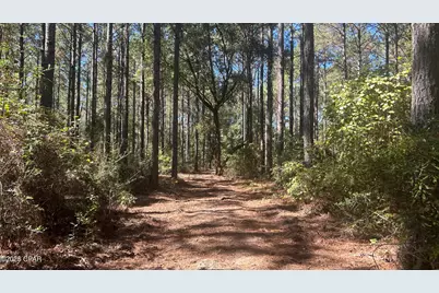 Xxx Co 147 Highway, Laurel Hill, FL 32567 - Photo 33