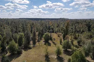 14235 NW Henry Grantham Rd, Altha, FL 32421 - Photo 41