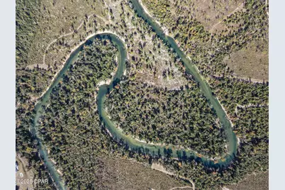 14235 NW Henry Grantham Road, Altha, FL 32421 - Photo 43