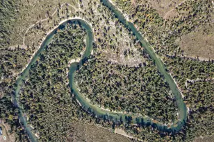 14235 NW Henry Grantham Rd, Altha, FL 32421 - Photo 43