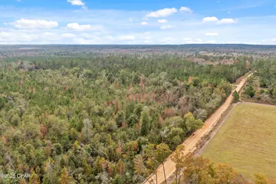 000 Perry Road, Cottondale, FL 32431 - Photo 11