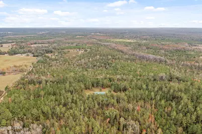 000 Perry Road, Cottondale, FL 32431 - Photo 3