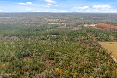 000 Perry Road, Cottondale, FL 32431 - Photo 9