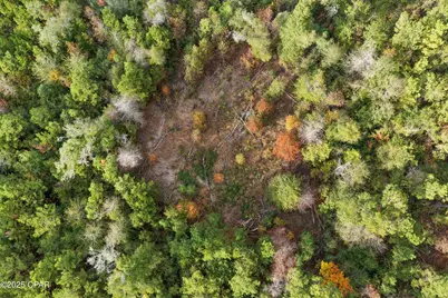 000 Perry Road, Cottondale, FL 32431 - Photo 7