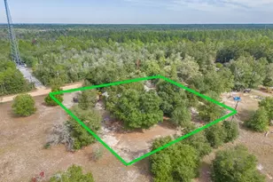13132 Timbercrest Rd, Fountain, FL 32438 - Photo 15
