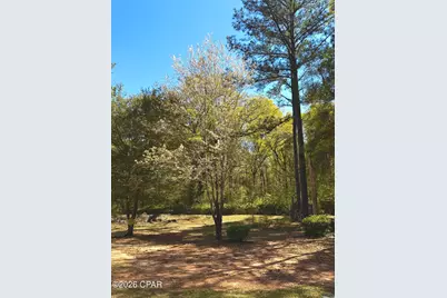 2729 Highway 2, Campbellton, FL 32426 - Photo 43