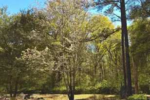 2729 Hwy 2, Campbellton, FL 32426 - Photo 43