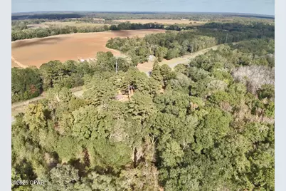 2729 Highway 2, Campbellton, FL 32426 - Photo 33