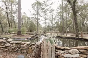 3640 Lucianne Dr, Vernon, FL 32462 - Photo 9