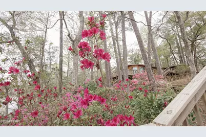 3640 Lucianne Drive, Vernon, FL 32462 - Photo 27