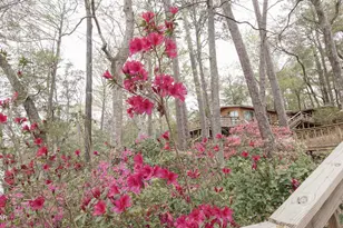 3640 Lucianne Dr, Vernon, FL 32462 - Photo 27