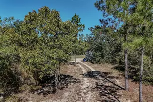 300 Deer Trail, Defuniak Springs, FL 32433 - Photo 35