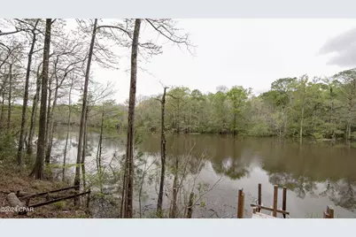 3642 Lucianne Drive, Vernon, FL 32462 - Photo 5