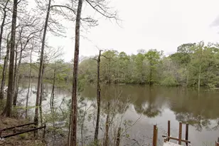 3642 Lucianne Dr, Vernon, FL 32462 - Photo 5