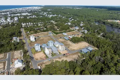 39 Sarah Street #Lot 17, Inlet Beach, FL 32461 - Photo 47