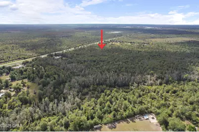0000 Hwy 231, Panama City, FL 32404 - Photo 3
