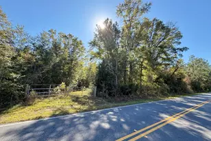 00 Sweet Pond Rd, Greenwood, FL 32443 - Photo 1