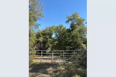 4660 Grassy Pond Road, Chipley, FL 32428 - Photo 19