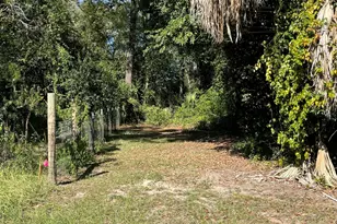 5367 Cotton St, Graceville, FL 32440 - Photo 41