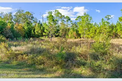 135 Canning Drive, Wewahitchka, FL 32465 - Photo 13