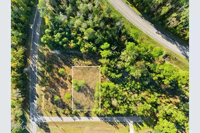 115 Pear Street, Wewahitchka, FL 32465 - Photo 1