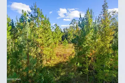 Tbd Pear Street, Wewahitchka, FL 32465 - Photo 17