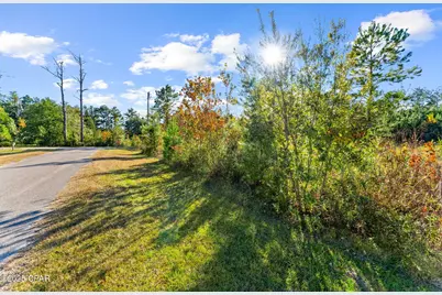 Tbd Pear Street, Wewahitchka, FL 32465 - Photo 9