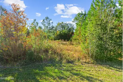Tbd Pear Street, Wewahitchka, FL 32465 - Photo 21