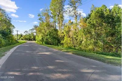 Tbd Pear Street, Wewahitchka, FL 32465 - Photo 9