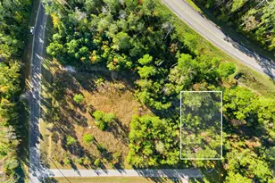 Tbd Pear St, Wewahitchka, FL 32465 - Photo 1