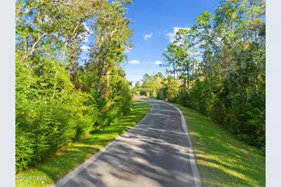 Tbd Pear Street, Wewahitchka, FL 32465 - Photo 17