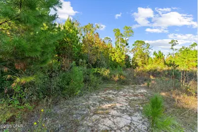 Tbd Pear Street, Wewahitchka, FL 32465 - Photo 21