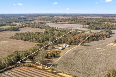 4659 Barron Road, Graceville, FL 32440 - Photo 3