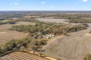 4659 Barron Rd, Graceville, FL 32440 - Photo 3