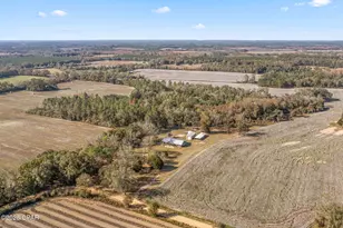 4659 Barron Rd, Graceville, FL 32440 - Photo 33