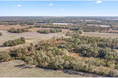 4659 Barron Road, Graceville, FL 32440 - Photo 35