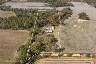 4659 Barron Rd, Graceville, FL 32440 - Photo 41