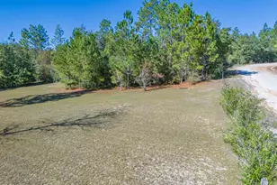 2672 W Laurel Dr, Alford, FL 32420 - Photo 49