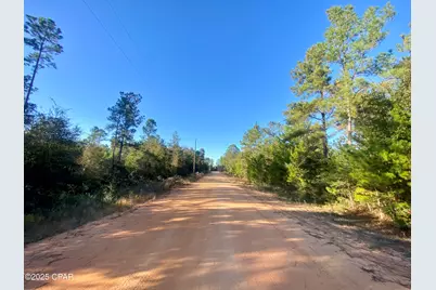 Lot 9 Adams Drive, Alford, FL 32420 - Photo 3