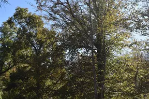 2461 Angelena Ct, Chipley, FL 32428 - Photo 25