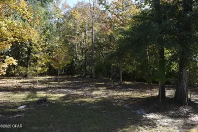 2461 Angelena Court, Chipley, FL 32428 - Photo 15