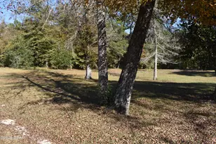 2461 Angelena Ct, Chipley, FL 32428 - Photo 21