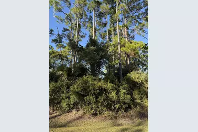 123 Cottage Lane, Port Saint Joe, FL 32456 - Photo 1