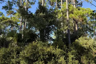 123 Cottage Ln, Port Saint Joe, FL 32456 - Photo 1