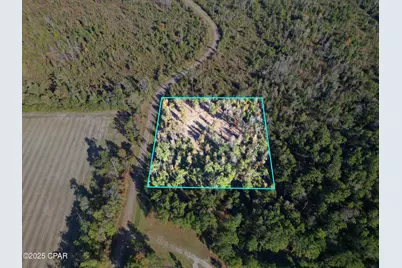 0 Parramore Road, Sneads, FL 32460 - Photo 5