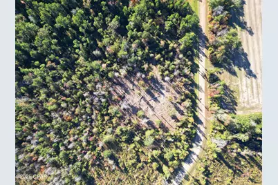 0 Parramore Road, Sneads, FL 32460 - Photo 9